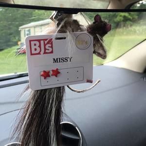 Meet your Posher, Missy